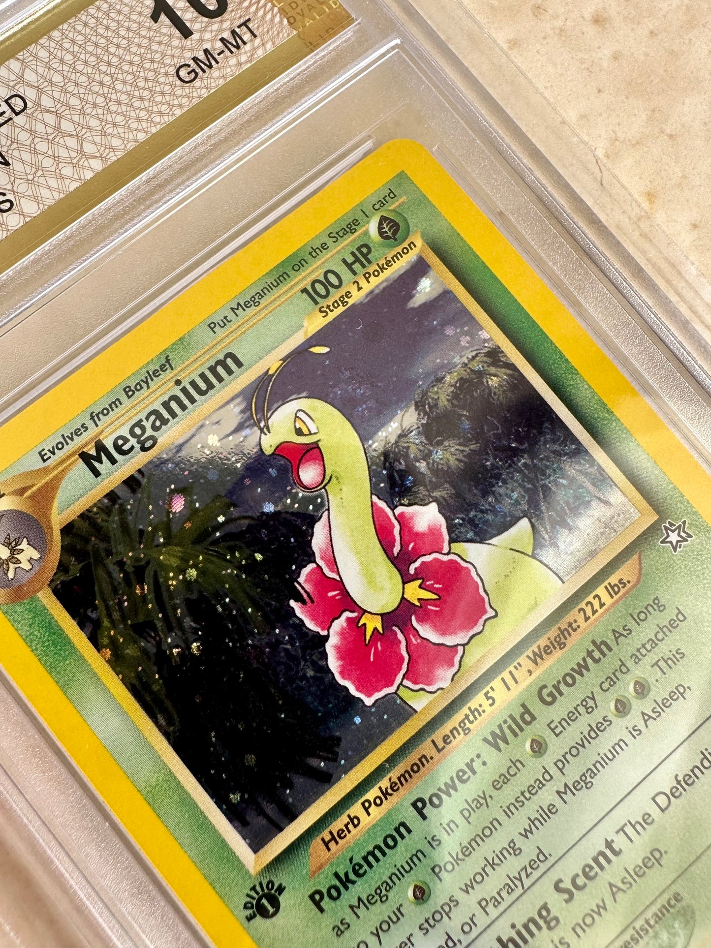 MEGANIUM 1ST EDITION NEO GENESIS PGC 10 BASE HOLO PSA 2000 POKEMON 11/111